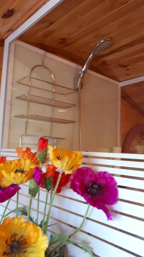 Chambres Et Roulotte De La Gentilhommiere Chazey-sur-Ain Dış mekan fotoğraf